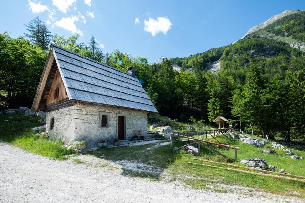 Mountain Heart Holiday House Trenta Extérieur photo