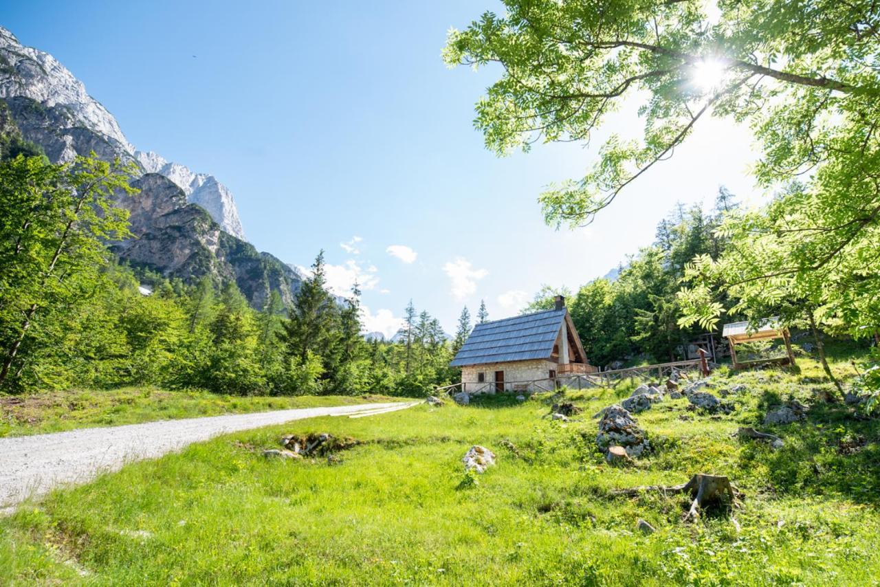Mountain Heart Holiday House Trenta Extérieur photo